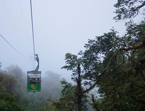 Monteverde Sky Tram + Sky Walk + Sky Trek COMBO