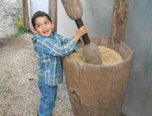 Trapiche Coffee Tour ( Coffee, Chocolate & Sugar Cane)