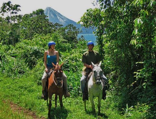 Transportation Monteverde to Arenal – Horseback riding + Boat + Van