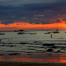 tamarindo-destination