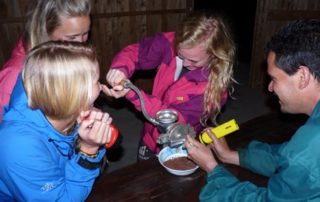 coffee and Jungle night tour-0