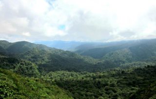 Monteverde Cloud Forest Ticktes