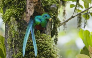 monteverde cloud forest tickets