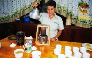 trapiche-tour-monte-verde-coffee